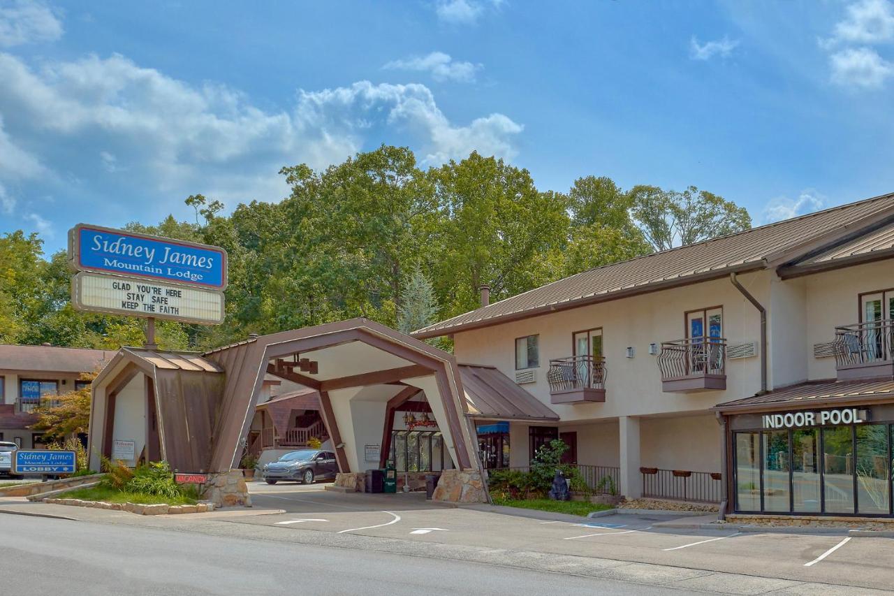 Sidney James Mountain Lodge Гетлинбург Екстериор снимка