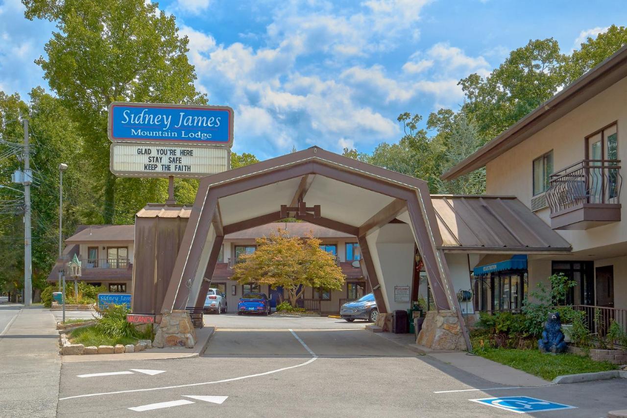 Sidney James Mountain Lodge Гетлинбург Екстериор снимка